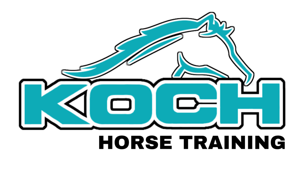 Patrick, Koch Pferde Training verkaufs pferde, wersternpferde, reitunttericht